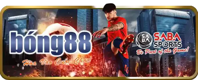 Giao diện ứng dụng 24tr88 thân thiện và mượt mà